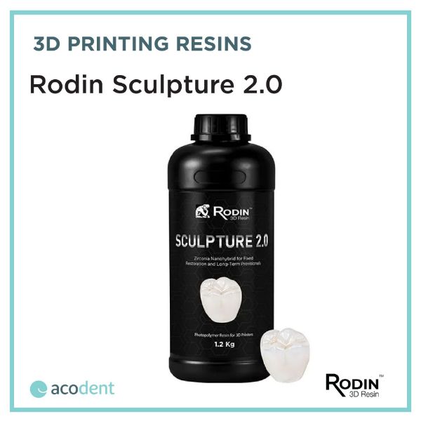 Picture of Rodin Sculpture 2.0